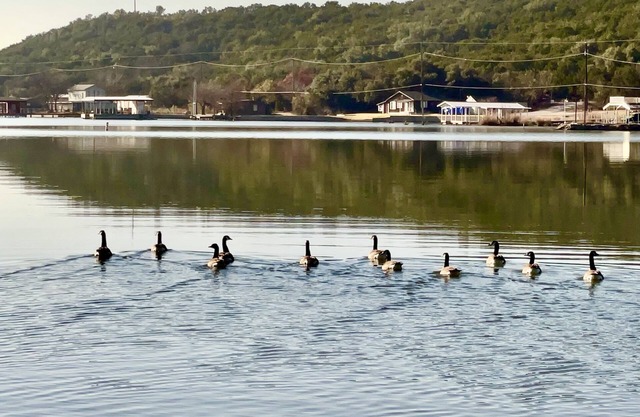 Lake front weekend getaway cabin #9