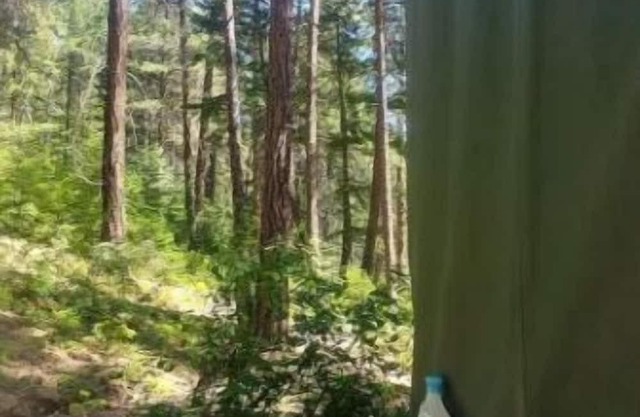 Lake Glamping with Private Beach