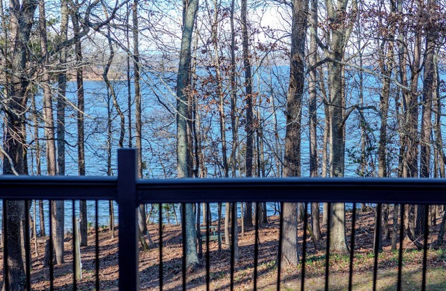 "Lake Lanier" Charming 1-bed house. Dock Access and Amazing Lake View! Private!