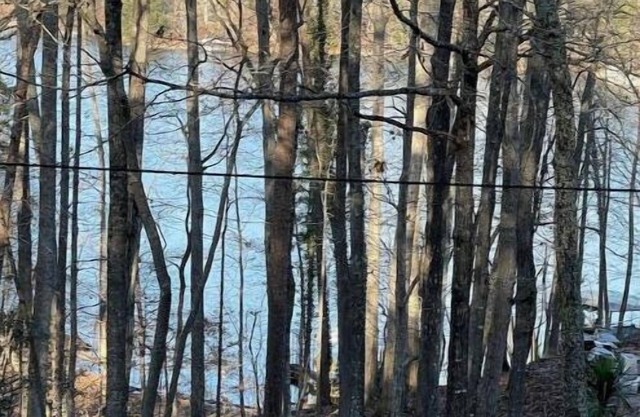 Lake Lanier House 1