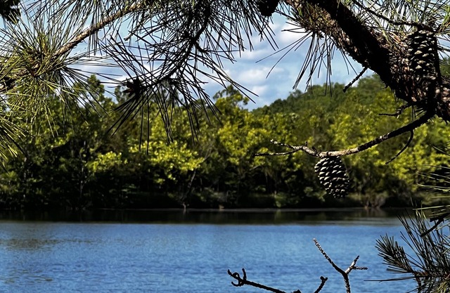 Lake Longbow-10 acre private lake, 80 acres, 4-wheeler/walking trails, fishing