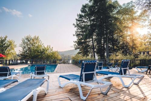 Lake Resort Suite: Views & Amenities