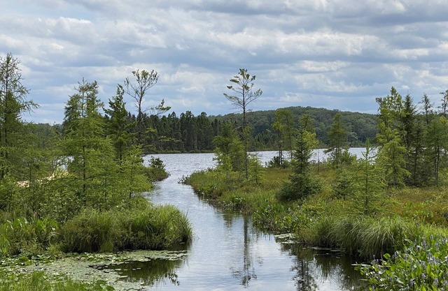 Lakefront Cabin… newly remodeled, full access to all your recreational needs!