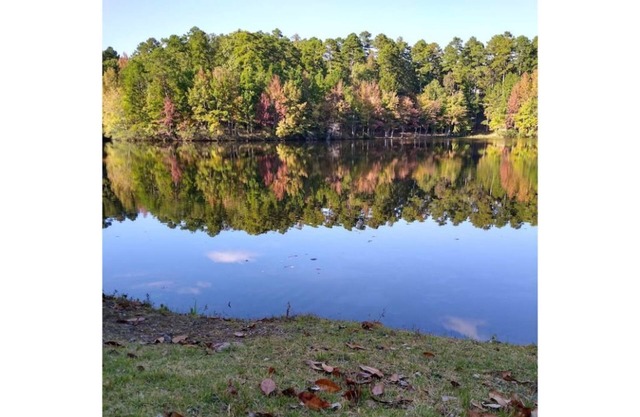 Lakefront Condo/Apartment On Beautiful Segovia Lake!