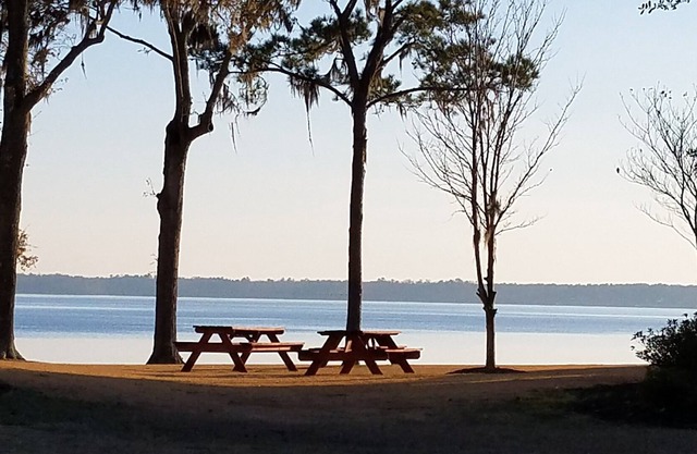 Lakefront Condo w / Boat Slip an der Nordküste. 3BR / 3BA - Angeln, Golfen, Bootfahren