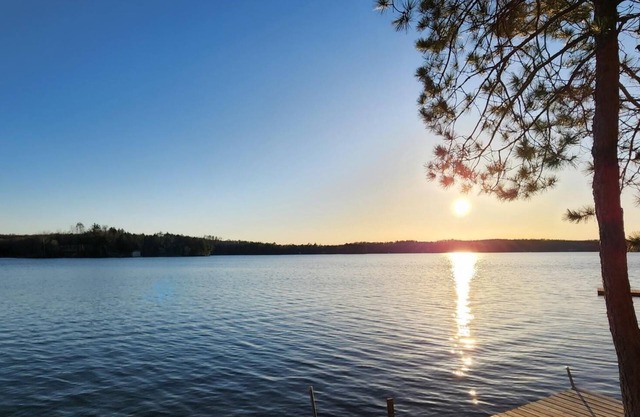 Lakefront Cottage on Beautiful Wheeler Lake in Lakewood FAMILY FRIENDLY!