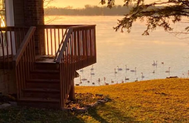 Lakefront Getaway: Swim, Boat & Relax!