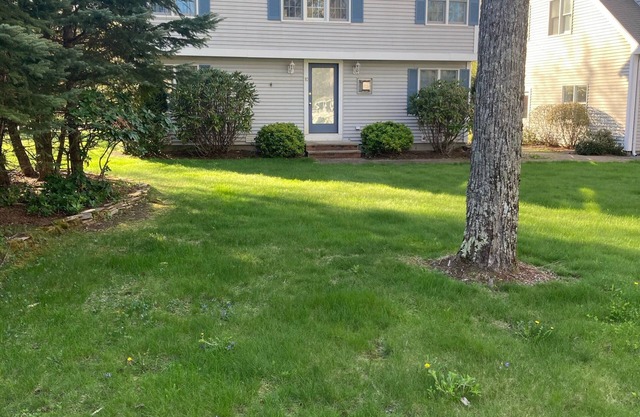 Lakefront Home for Rent
