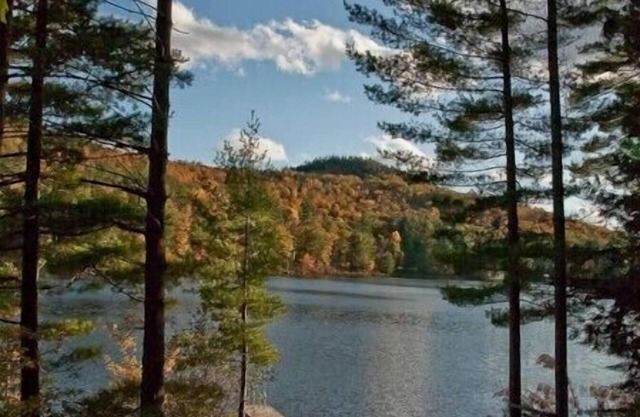 Lakefront North Creek Cabin w/ Sauna, Dock & Kayak
