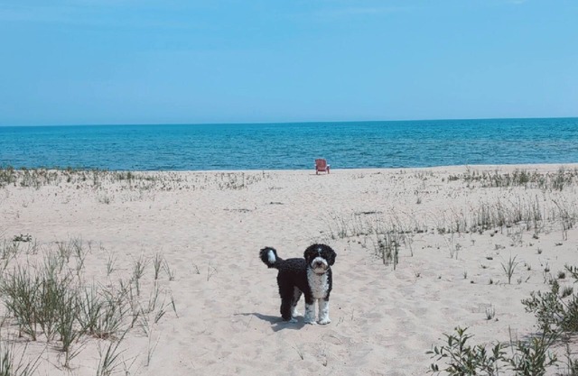 Lakefront Retreat: Escape to a SANDY Pet Friendly private Lake Huron Beach!