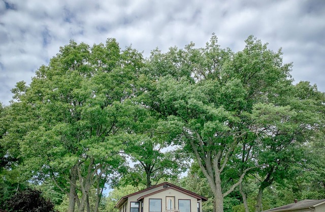 Lakehouse on Whitesand Lake
