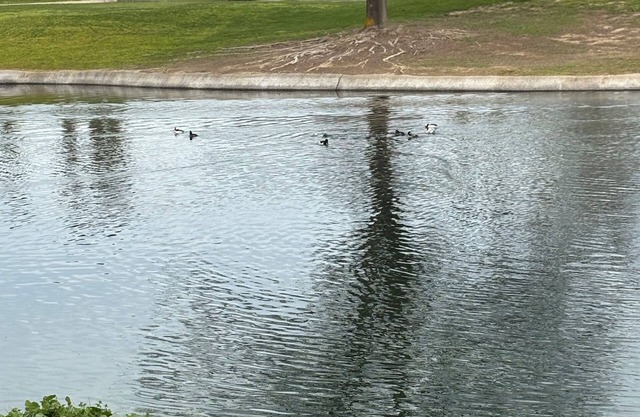 Lakeside Oasis \ Private 1 Bedroom 1 Bath near Yosemite
