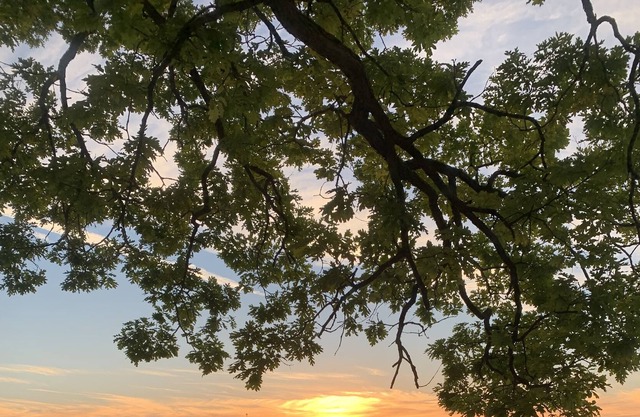 Lakeside Sunrise Retreat