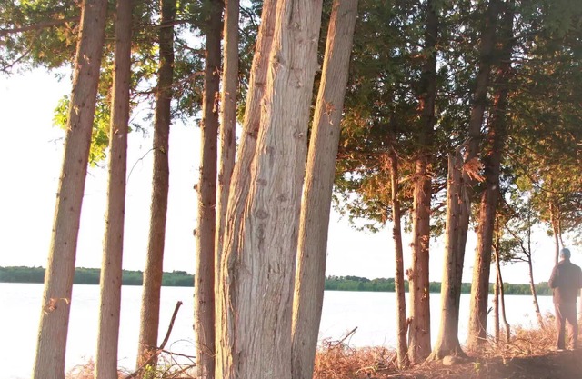 Lakeview Campsite E