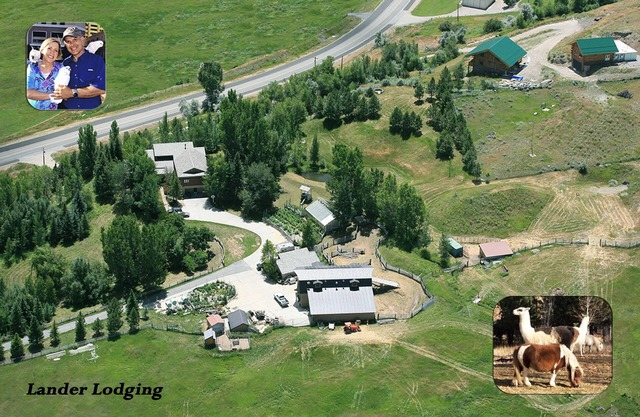 Lander Alojamiento - Inicio de Wyoming barranco de los fregaderos Miniature Horse Ranch