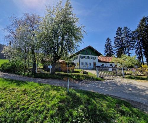 Landgut Michlshof - Bauernhof, Tinyhouse, Tiere