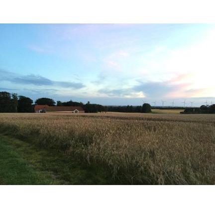 Landlig idyl på Degnbol