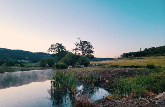 Langel Creek Ranch Guest House