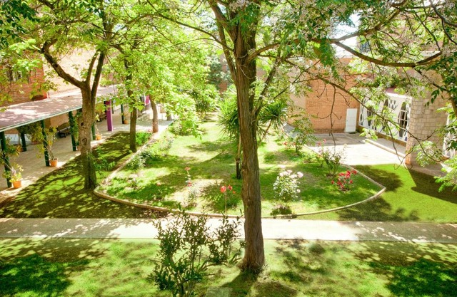 Lantana Garden