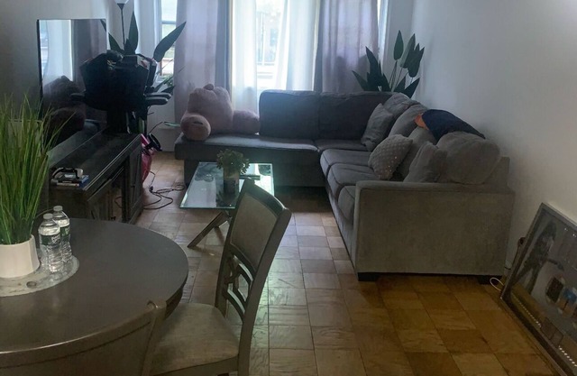 Large 1-bedroom apartment in New York City- Manhattan