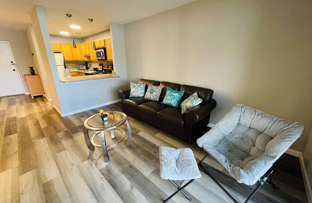 Large and Comfortable, 1BR Monthly Discount