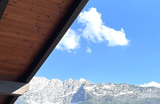 Große Ferienwohnung im Zentrum von Bad Mitterndorf