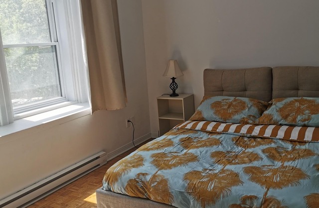 Large Apartment downtown 1227, 3 bedrooms