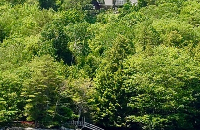Large beautiful waterfront estate , very private in historic Wiscasset Maine