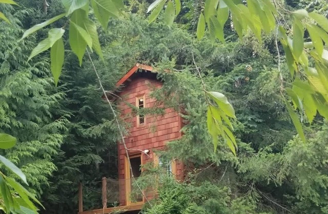 Large Estate Venue 2 hot tubs 2 treehouses