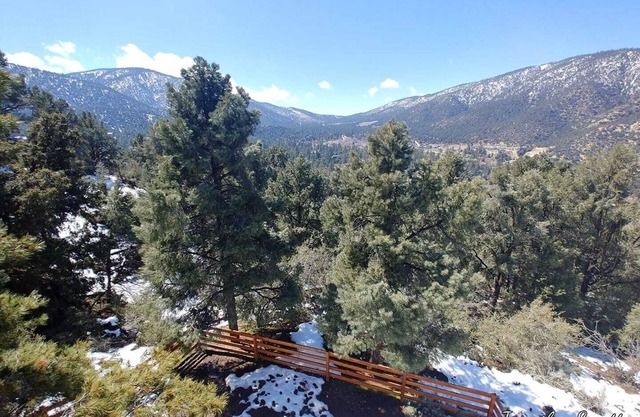 Large Lower Suite in Mountain View Home