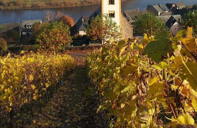 Großes, luxuriöses Ferienhaus mit Größzügigem Aussicht (10/12 Pers.)