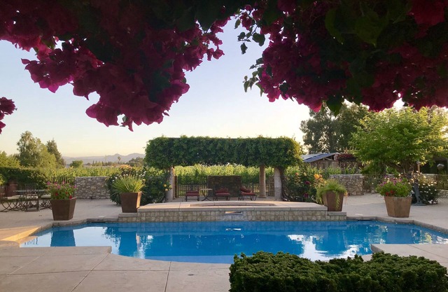Large poolside King suite with private entrance