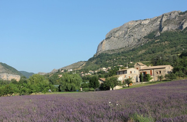Großes provenzalisches Haus, riesiger Garten und Lavendel (Le Moulin, Maison du Haut)