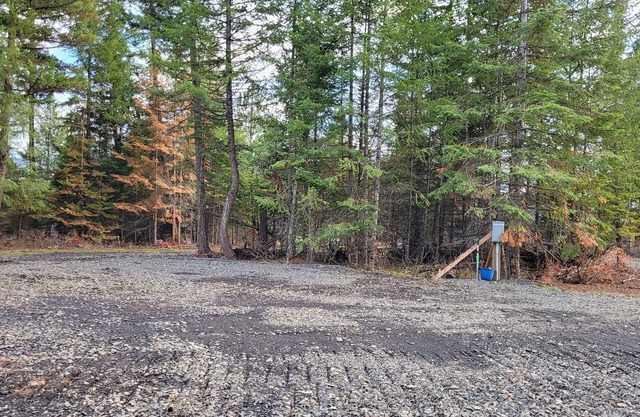Large RV site with full hookups, surrounded by trees and nature.