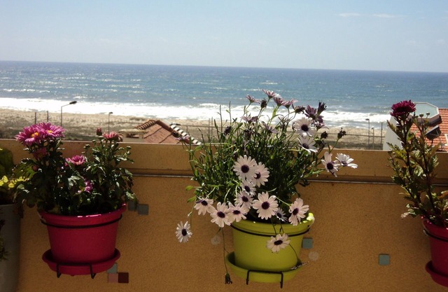 Große Wohnung am Meer