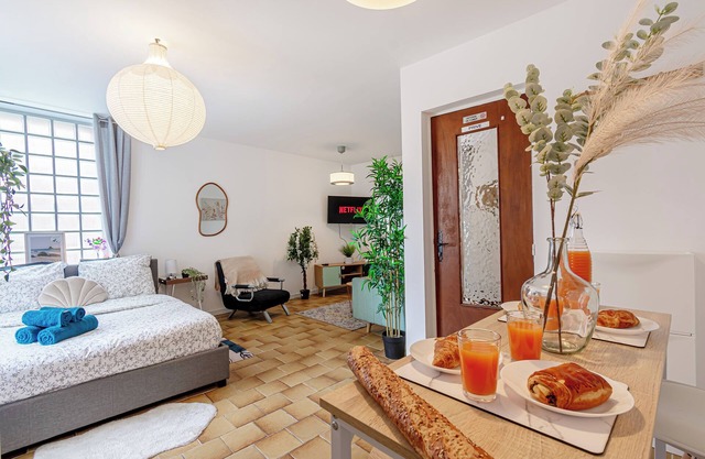 Large studio, well-equipped/ CDG airport/ Disneland Paris/le Bourget /Villepinte
