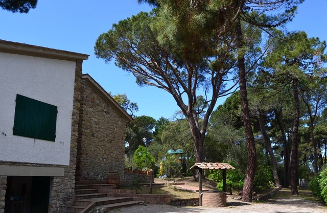 Large villa w/3000 m2 pine garden near beach, private path to sea