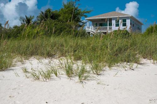 Lavender Beach House home