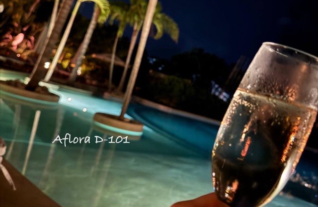 Lavish Apartment w/Private Plunge Pool - Aflora