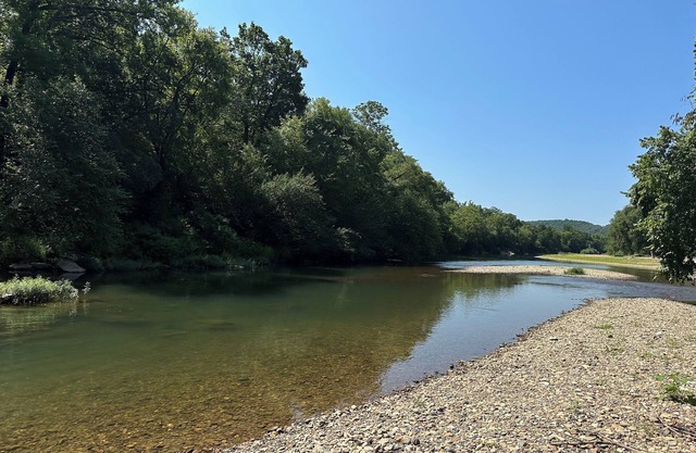 Lazy Bear Cabin on the Caddo River, Walk into the River