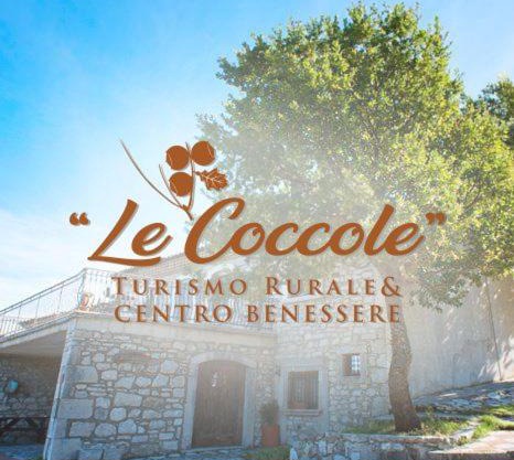 Le Coccole