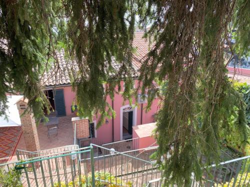 Le corti dell'Etna
