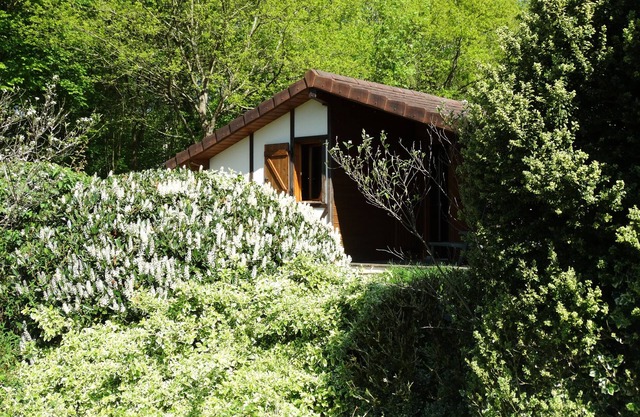LE FAY: Chalet (Colvert) am Rande eines von Natur umgebenen Teiches