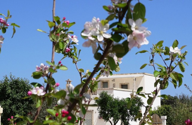 ‚Die Fogge‘ ein Ort, in Kontakt mit der Natur und Parfum di Puglia