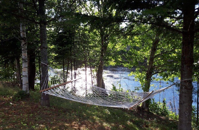 Le Grand Heron - Waterfront Cabin with Spa