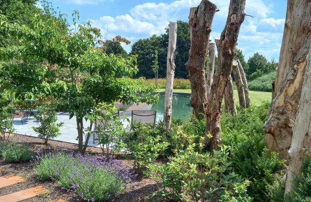 Le jardin des fagnes