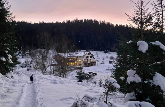 Le Perchoir 9 Pers, Le Grand Valtin, voller Natur