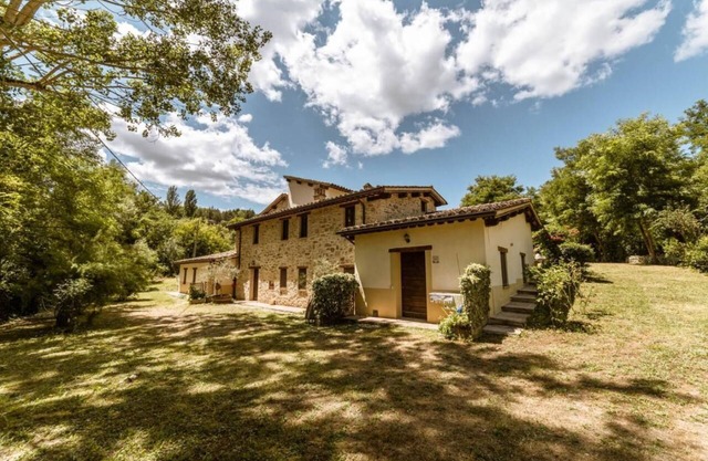 Le Radici - Olivo - Relax in Umbria, the heart of Italy