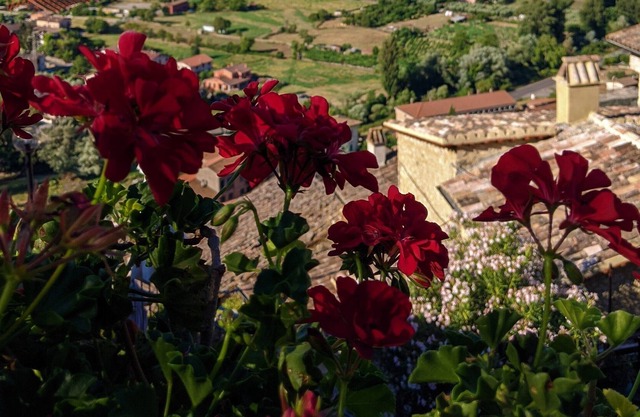 LE ROCCHE - Unter der Burg, ZAFFIRO Apartment mit SPA und Blick auf den Black River