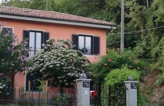 Le rose di Mapi
